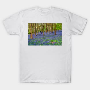 Bluebells Bluebell Woods Greys Court Oxfordshire UK T-Shirt